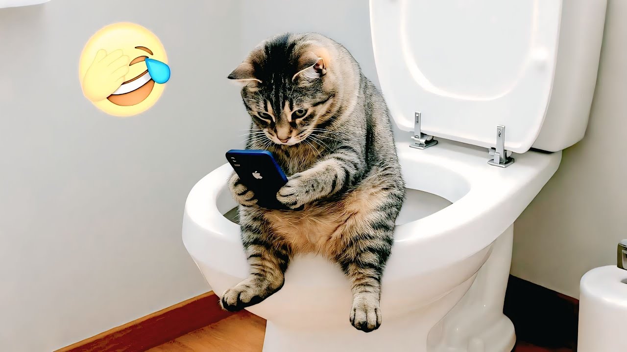 Funny ANIMALS videos 😂 | Funniest Cats and Dogs 2025 🐶😼 viral Part 2