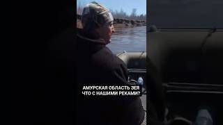 #АМУРСКАЯ #ОБЛАСТЬ #РЕКИ #ПРЕВРАЩАЮТ В #БОЛОТА #ЭКОЛОГИЧЕСКАЯ #ПРОБЛЕМА
