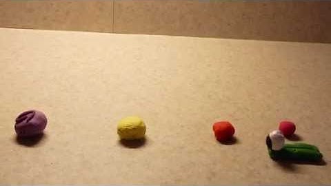 Capstone Project Final - Claire Simon