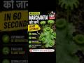 Marchantia Explained in 60 Seconds 🌿 | Bryophytes #mppsc #shorts #shortsfeed