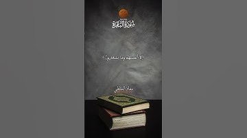 Muadh El Kholti | Extrait Surat Al Baqarah | ما تيسر من سورة البقرة | القارئ معاذ الخلطي #quran