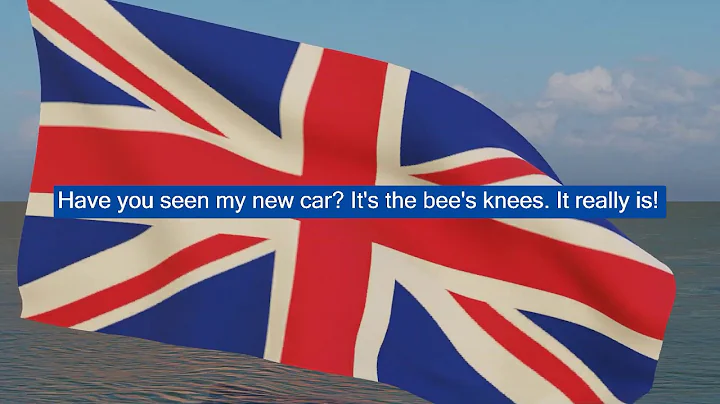 English Idiom: the BEE'S KNEES