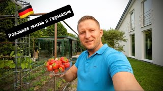 видео: Моя жизнь в немецкой деревне / Уход за малиной / Как избавиться от слизней / Ремонт буса Opel Movano картинка: Моя жизнь в немецкой деревне / Уход за малиной / Как избавиться от слизней / Ремонт буса Opel Movano
