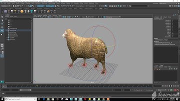 quadruped sheep walk cycle in maya part 04