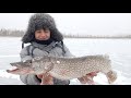 Пришли проверять ЖЕРЛИЦЫ и сами не поверили!!! Дикая щука не лезит в лунку! Рыбалка на жерлицы 2021.