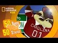 Exploring South Carolina's Unique Features