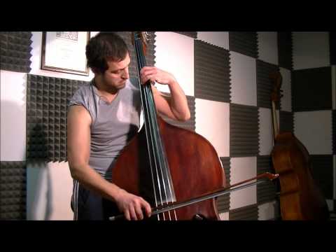 Pirates Of The Caribbean - Double Bass Solo