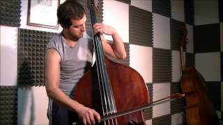 Pirates Of The Caribbean - Double Bass Solo Resimi