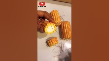 cake or fake|which one is cake|everything is cake|comedy|funny|unpredictable|unexpected|prank