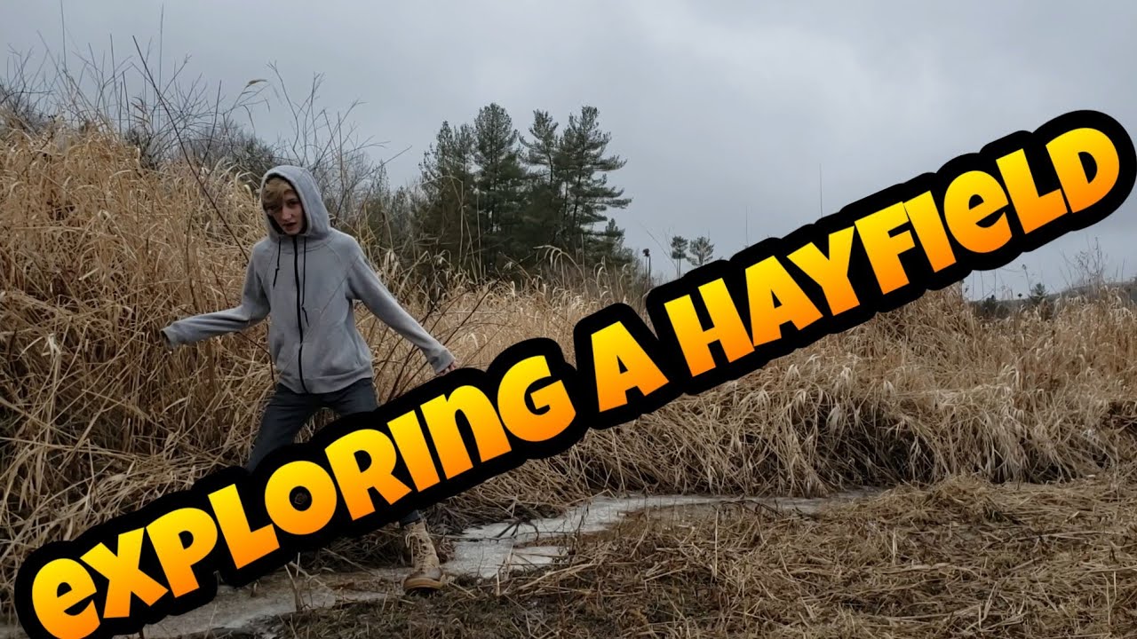 Exploring a Hayfield!!!!!!!! YouTube
