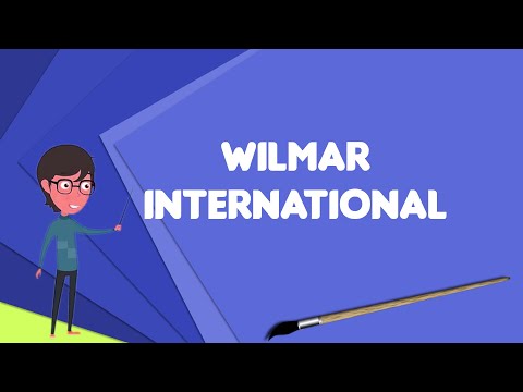 What is Wilmar International?, Explain Wilmar International, Define Wilmar International