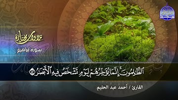 ما تيسر من سورة إبراهيم | تــلاوة تدبرية متفردة | القارئ : أحمد عبدالحليم | من مختارات المجد HD