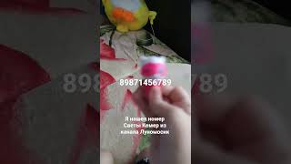 Настоящий номер Светы Кемер