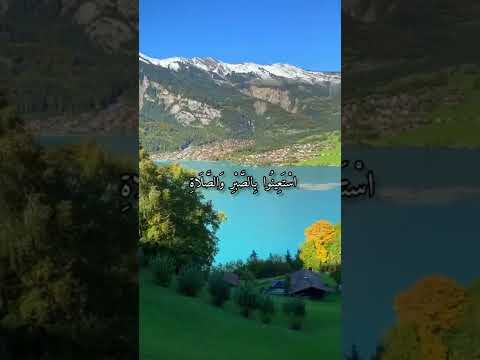 قرآن كريم القارئ سعود الفايز من سورة البقرة 