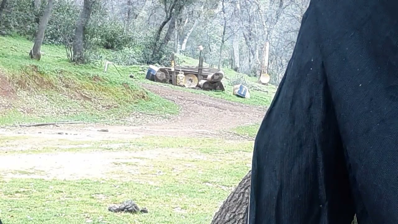 AEA Zeus .58 with a 16" barrel, 520 grain Mr Hollowpoint slug at 50 yards.