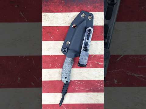 Kizer - Field Mouse.    