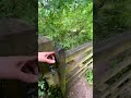 Running in the countryside | Runner's World