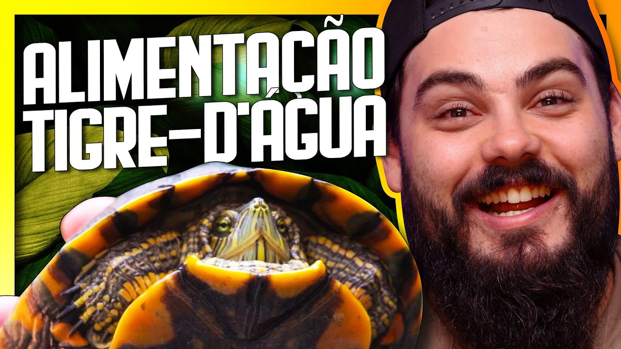 Alimentação TIGRE-D'ÁGUA - Como alimentar CÁGADO/TARTARUGA DE ÁGUA - O ...