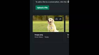 Delete files from Slack