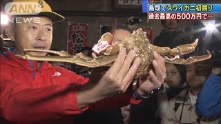 過去最高の500万円・・・鳥取でズワイガニ初競り(19/11/07)