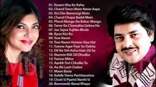 BEST Songs Udit Narayan & Alka Yagnik / Evergreen romantic songs / Awesome Duets