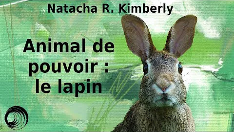 Quelle est la symbolique du lapin ?