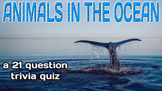 ANIMALS IN THE OCEAN - a 21 question fun trivia game!  {ROAD TRIpVIA- ep:543] screenshot 5