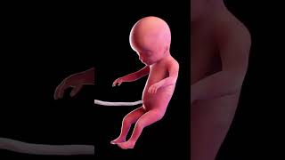 Nursing Study Tools & NCLEX Planner | Digital Flashcards & Cheat Sheets#nursingschoolplanner