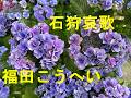 石狩哀歌/福田こうへい Cover♪あじさん・・♪