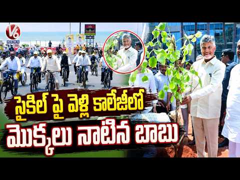 CM Chandrababu Rides Bicycle to AU Engineering College and Plants Saplings  V6 News - V6NEWSTELUGU