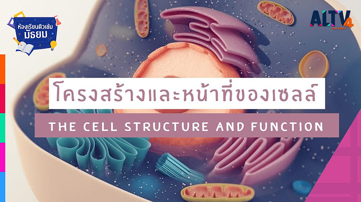 บทท 3 เซลล ของส งม ช ว ต ม.4 ppt