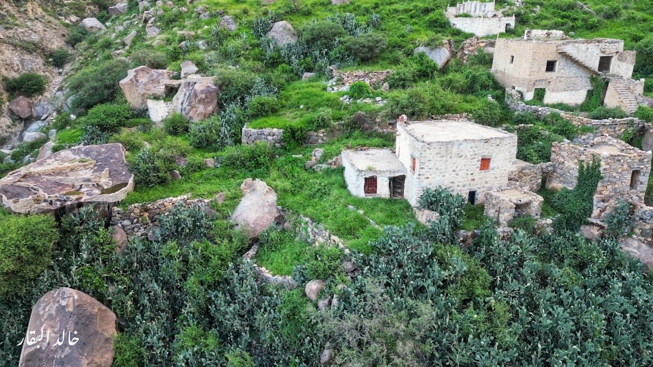 أصدار وادي دارا بقرية حزنة ببلجرشي ، العصبة ، والنشم ، والمعدّا في أبهى صورة، ربيع الأول ١٤٤٦