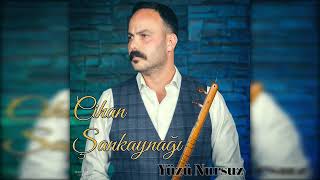 Cihan Şankaynağı - Yüzü Nursuz Resimi