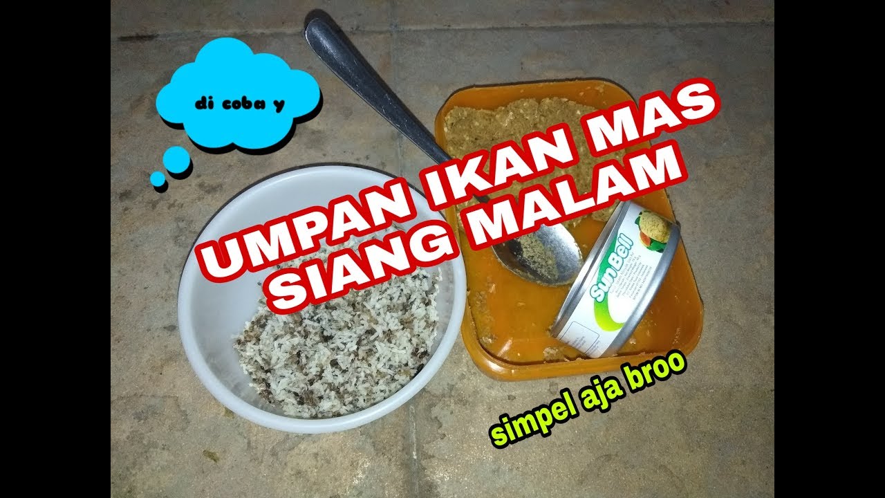 UMPAN COKLAT IKAN MAS SIANG MALAM