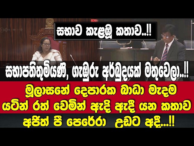 මූලාසනේ දෙපාරක බාධා මැදම අජිත් පී පෙරේරා යටින් රත් වෙමින් ඇදි ඇදී යන කතාව උඩට අදී...!!