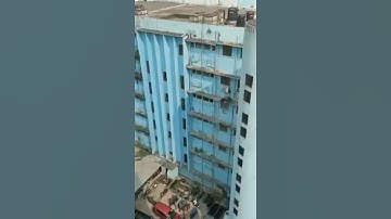 😲cat jumping 5th building