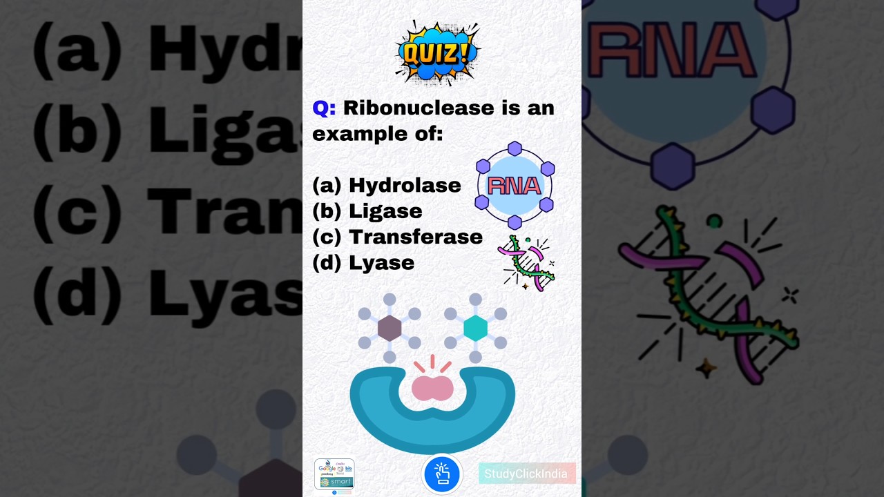 Ribonuclease is an example of? #shorts