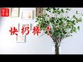 【植物風水】家裡有這種植物的，趕緊扔掉了！植物瘋長對家居的影響！