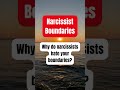 Why Do Narcissists Hate Your Boundaries?