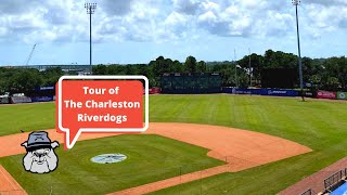 Bulldog Tours: Charleston Riverdogs