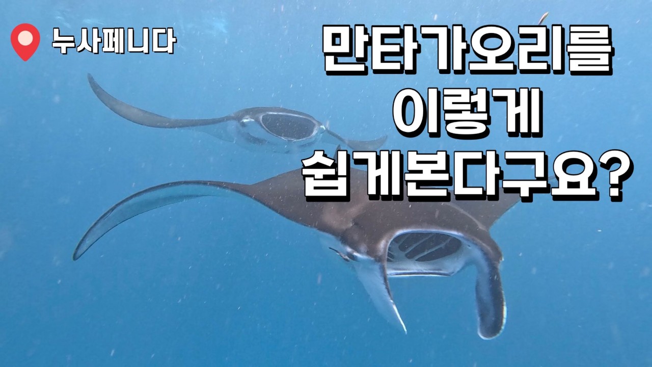 [4K] 발리에 간다면 꼭 가봐야 할  누사페니다 섬 Feat. 드라이버가 바꼈어요.