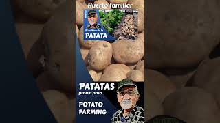 EL CULTIVO DE LA PATATA, POTATO FARMING #shorts, #shortsyoutube