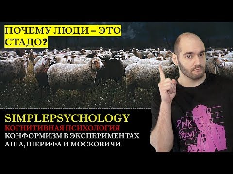 Когнитивная психология #141. Конформизм в экспериментах Аша, Шерифа и Московичи