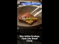Why Grilled Scallops Taste Like Sweet Candy