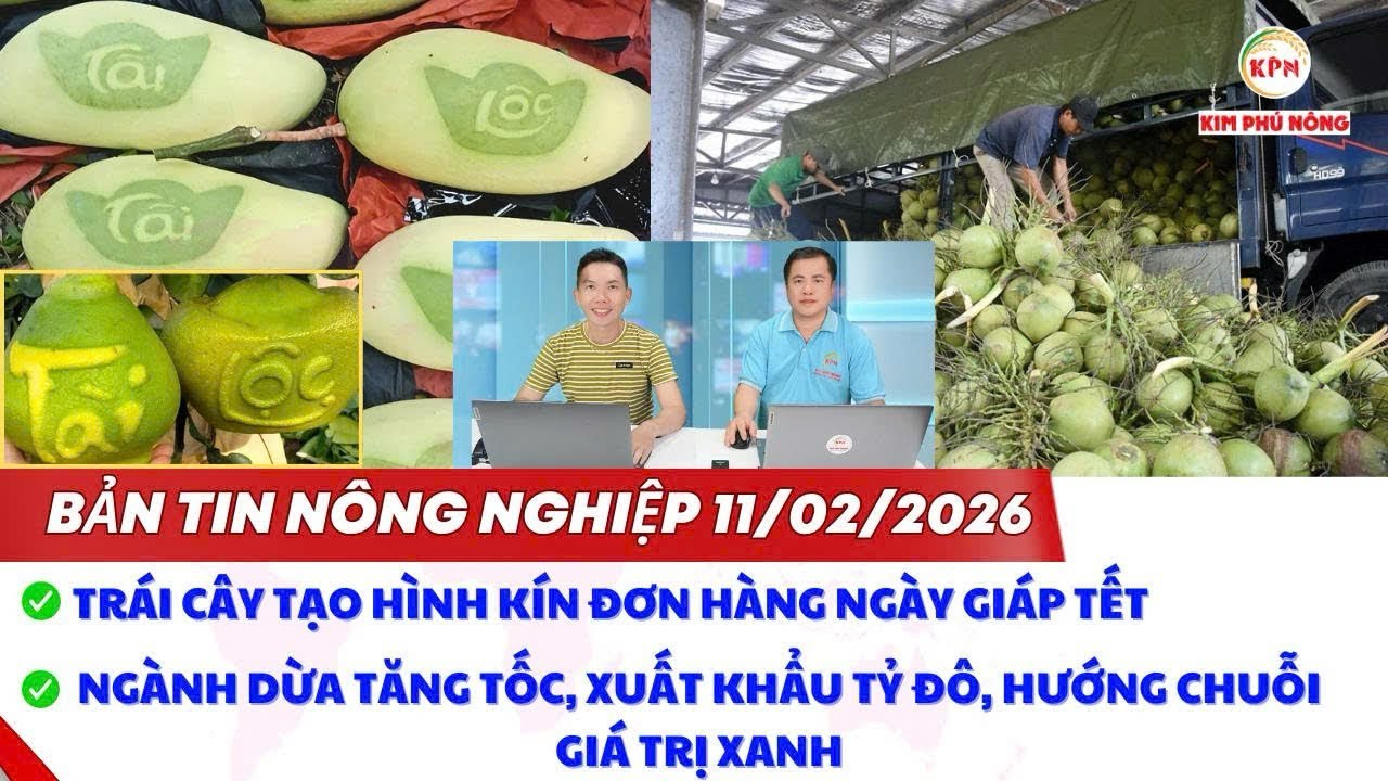 Bản tin nông nghiệp ngày 11/02/2026