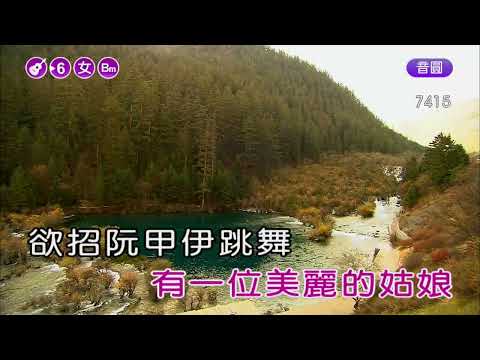 酒醉的恰恰~王識賢~女Dm調~伴奏~導唱~無live鼓丙