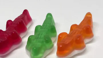 Quel goût ont les crocodiles Haribo ?