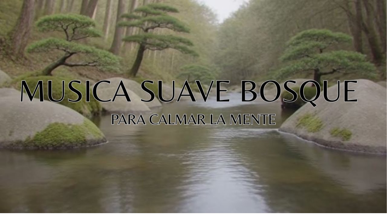 Cascadas Suaves y Río Zen para Calmar la Mente