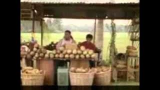 koleksi iklan raya part2