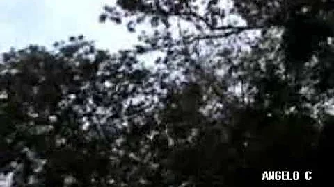 JOSEPH - PERO TE QUIERO  ( Alberto Jose )